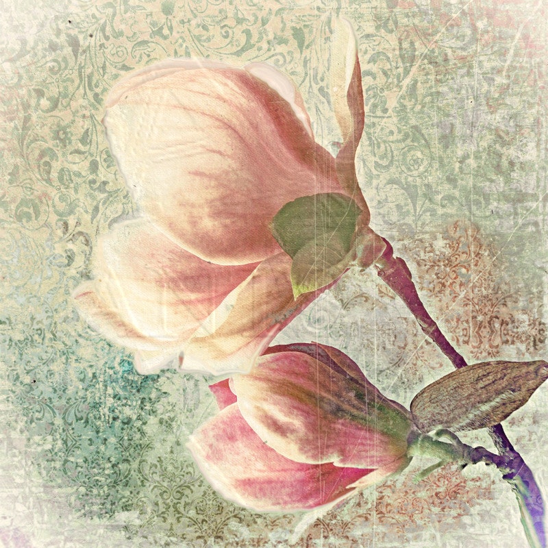 Magnolia - Baumblüte,Wandbild im Landhausstil Shabby Chic Vintage Style