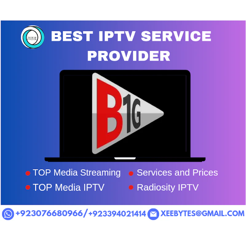 B1G IPTV PANEL 
