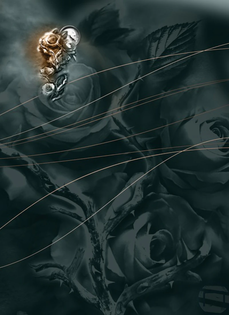 MT 23.0 – KOMPASSROSE 