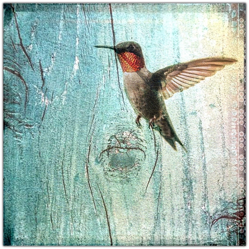 Kolibris, Triptychon im Landhausstil, Shabby Chic kaufen
