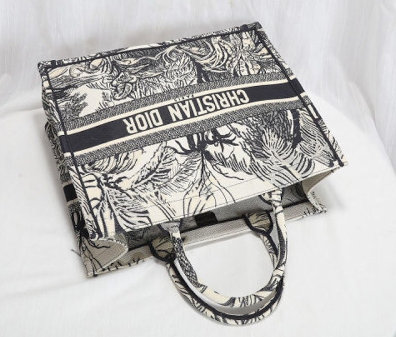 Christian Dior Book Tote Bag 