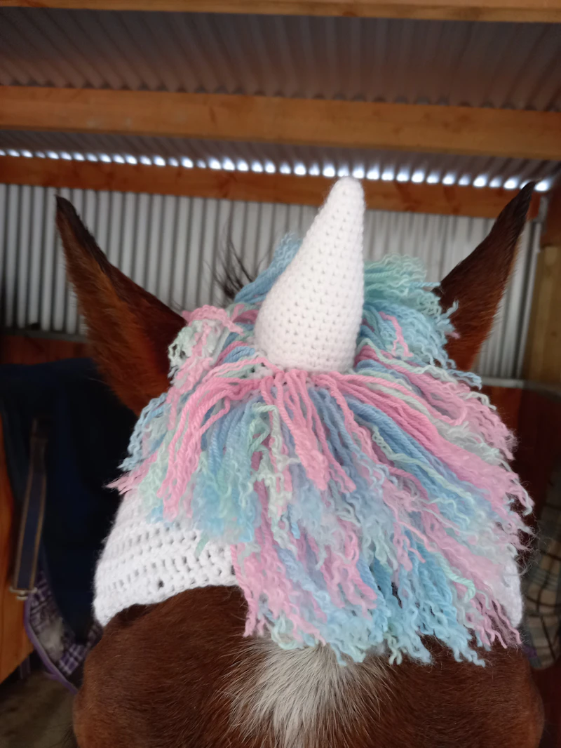Crochet Horse Hats