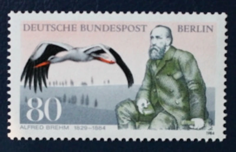 Robbert´s Briefmarken Berlin MiNr. 722, 100. Todestag von Albert Edmund Brehm