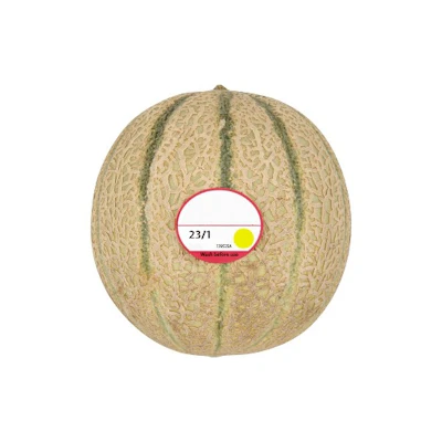 Whole Cantaloupe Melon