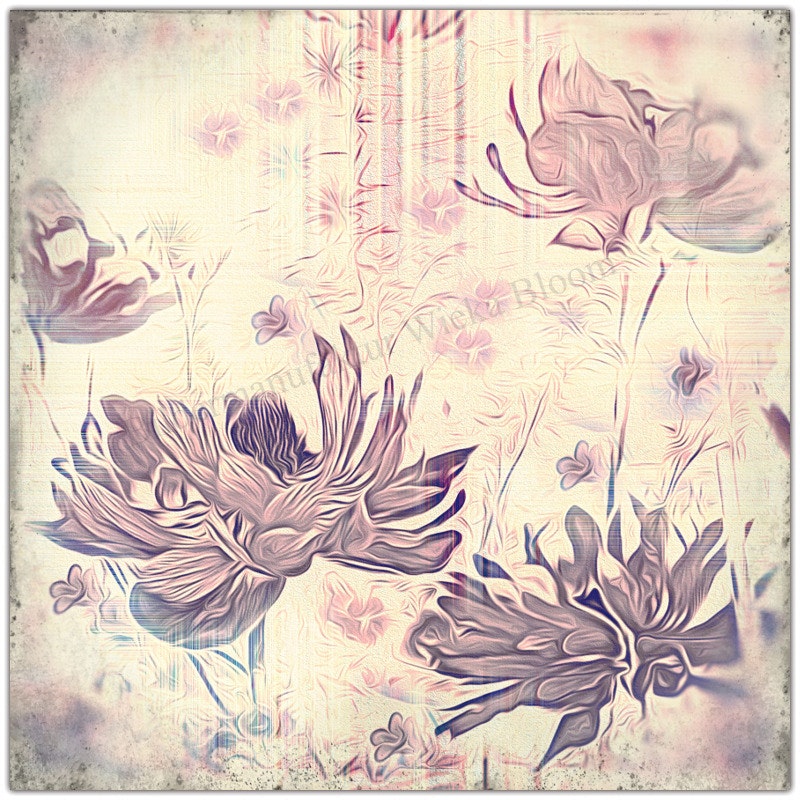Anemonen Blumenbild Wanddeko Landhausstil Shabby Chic Vintage Style