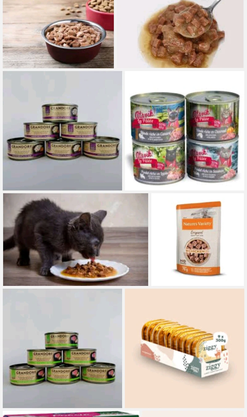 Pâtées pour chat 