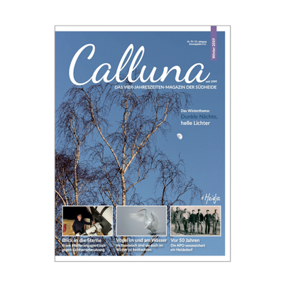 Calluna Winter 2019
