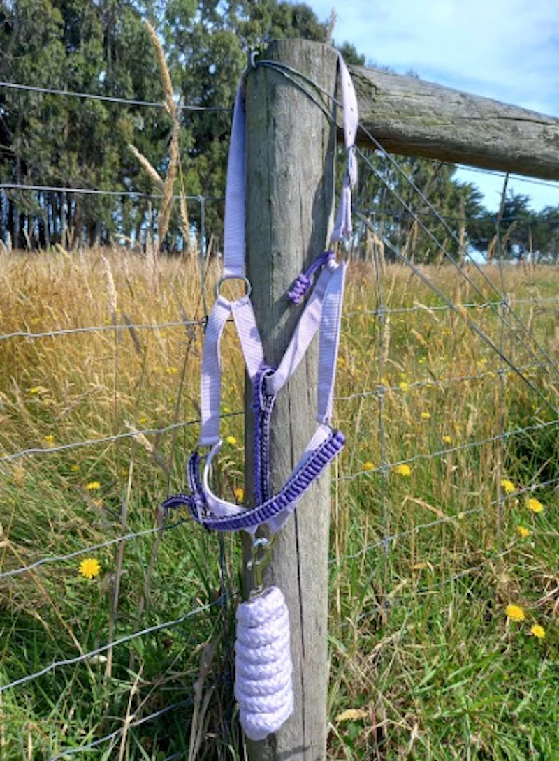 Half Halters