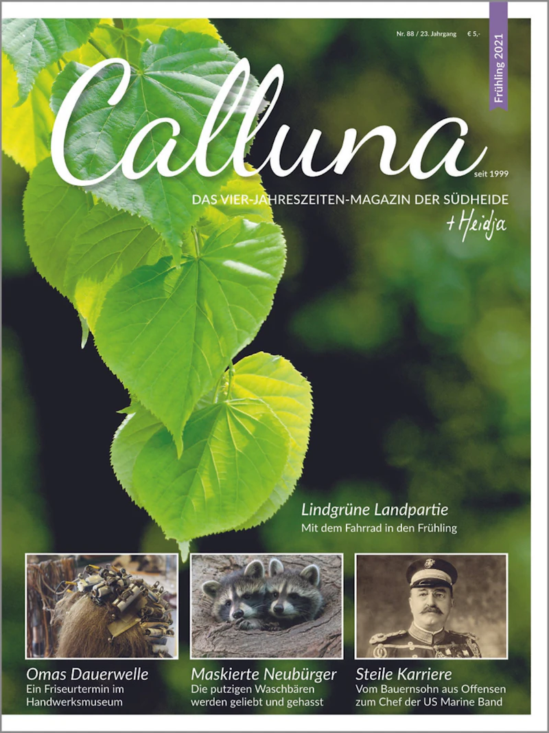 Calluna Frühling 2021