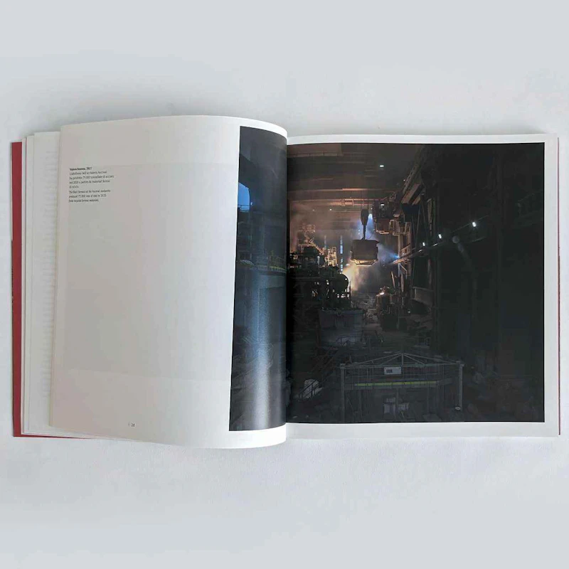 MAPPING THE RUST - Michele Borzoni