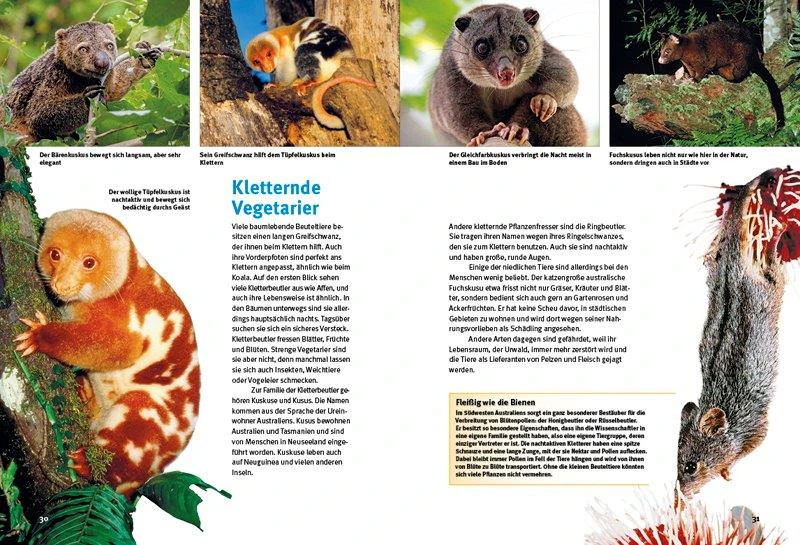 Entdecke die Beuteltiere 