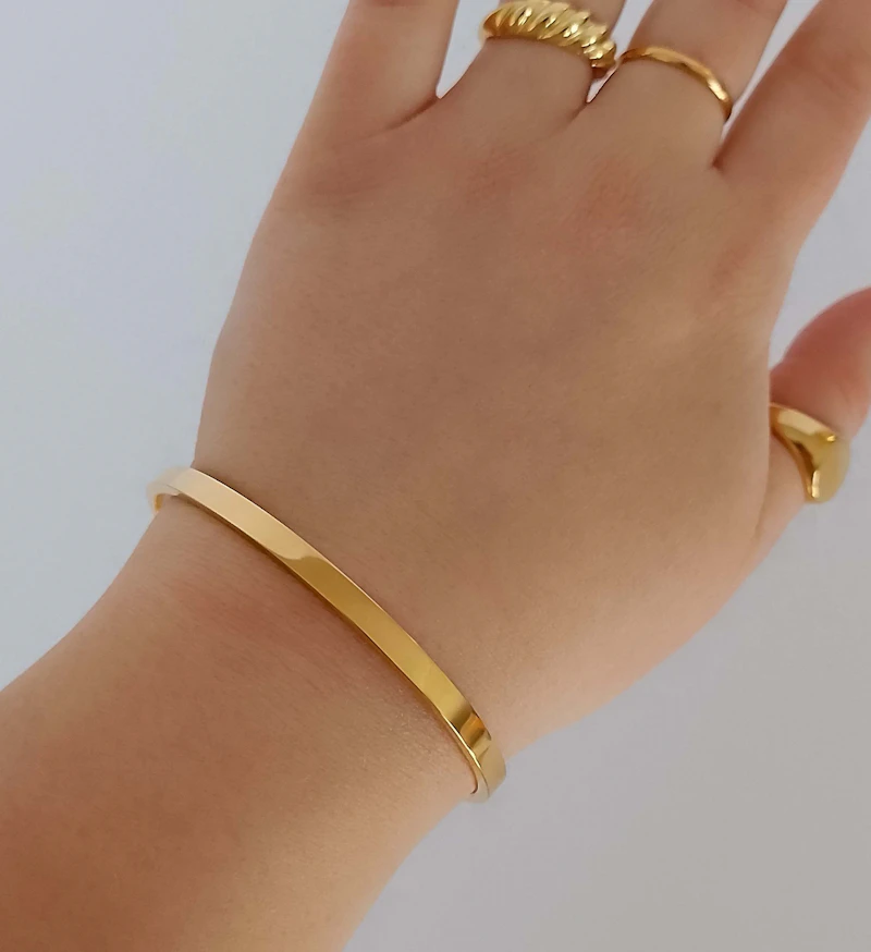 Tasnia Bangle
