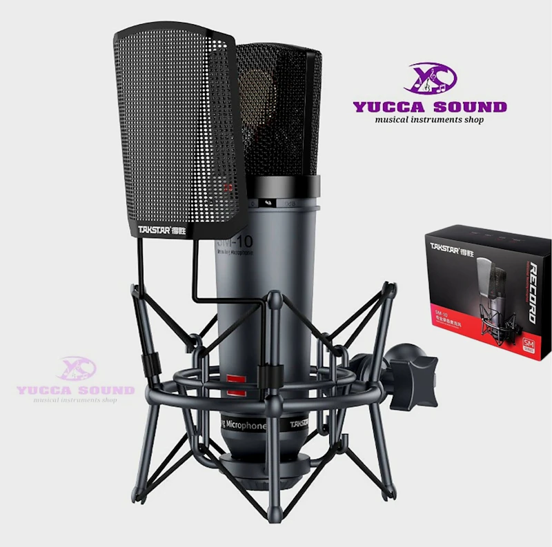 TAKSTAR SM-10 Professional Recording Microphone