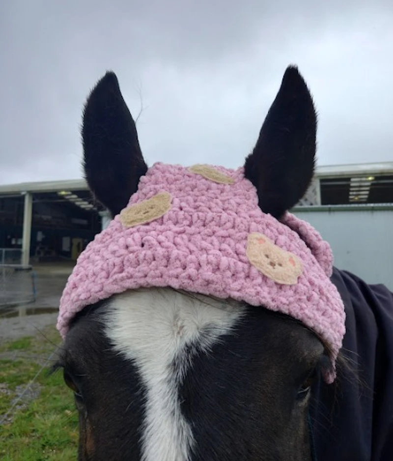 Crochet Horse Hats