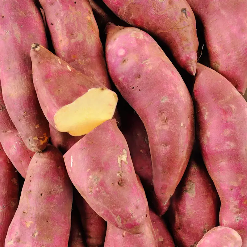Patate douce 