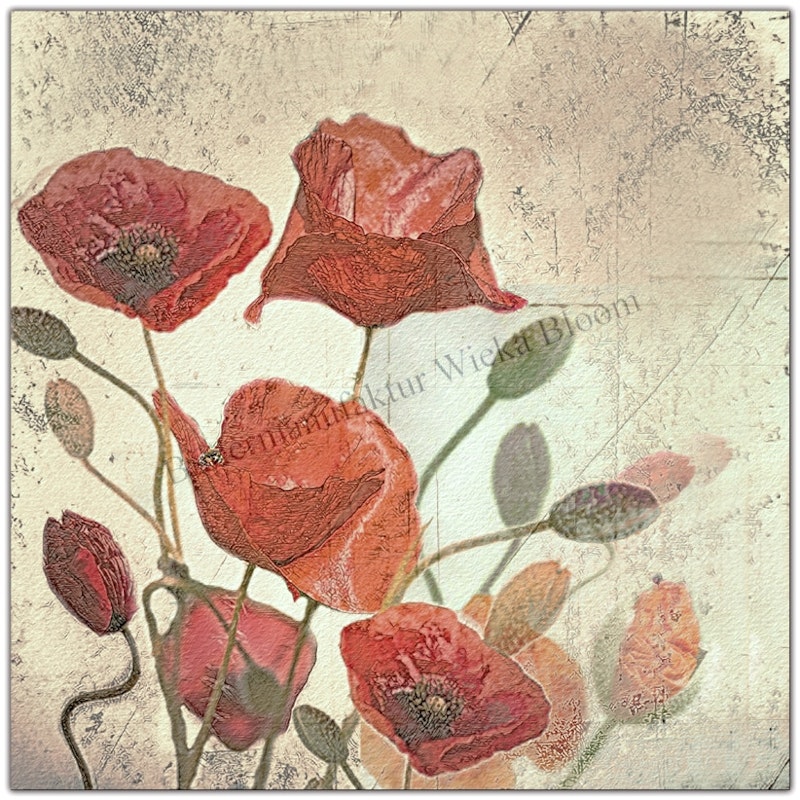 Mohnblumen - rote Blüte, Wandbild im Landhausstil Shabby Chic Vintage Style