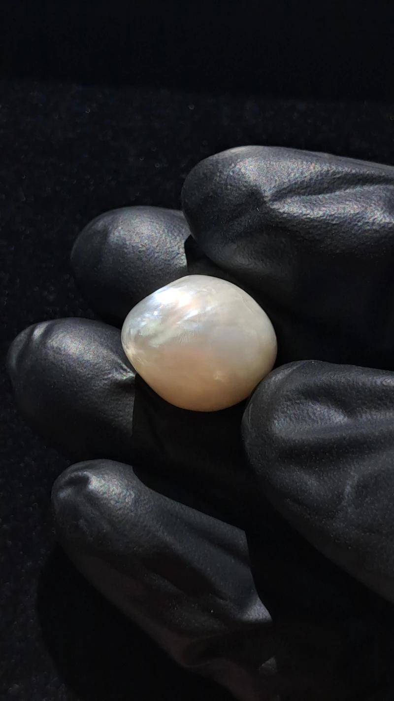 Ravishing GIA certified 25 carat Natural Maxima pearl