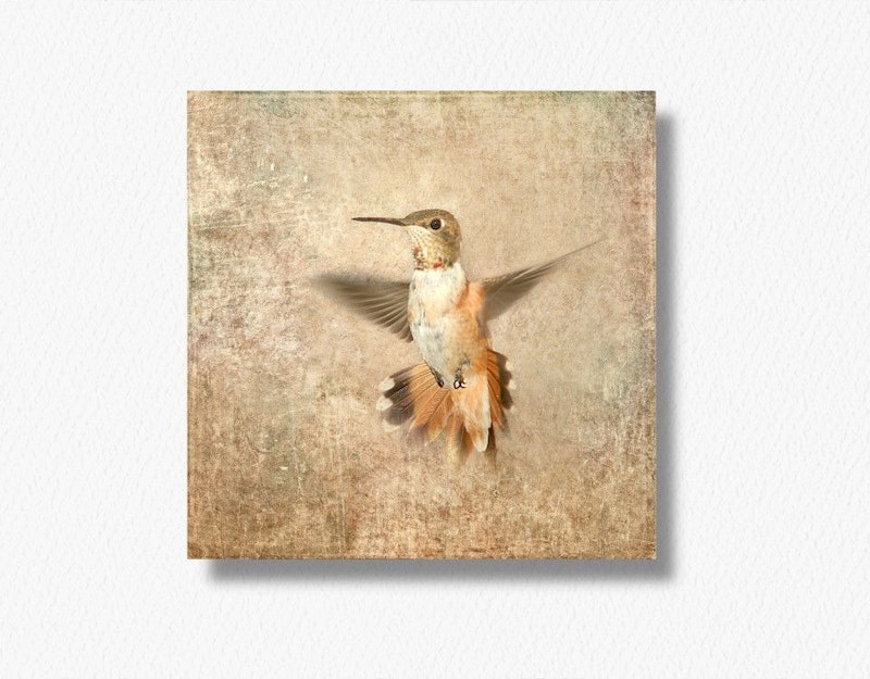 Kolibri Sephia, Wandbild im Landhausstil, Shabby Chic kaufen 