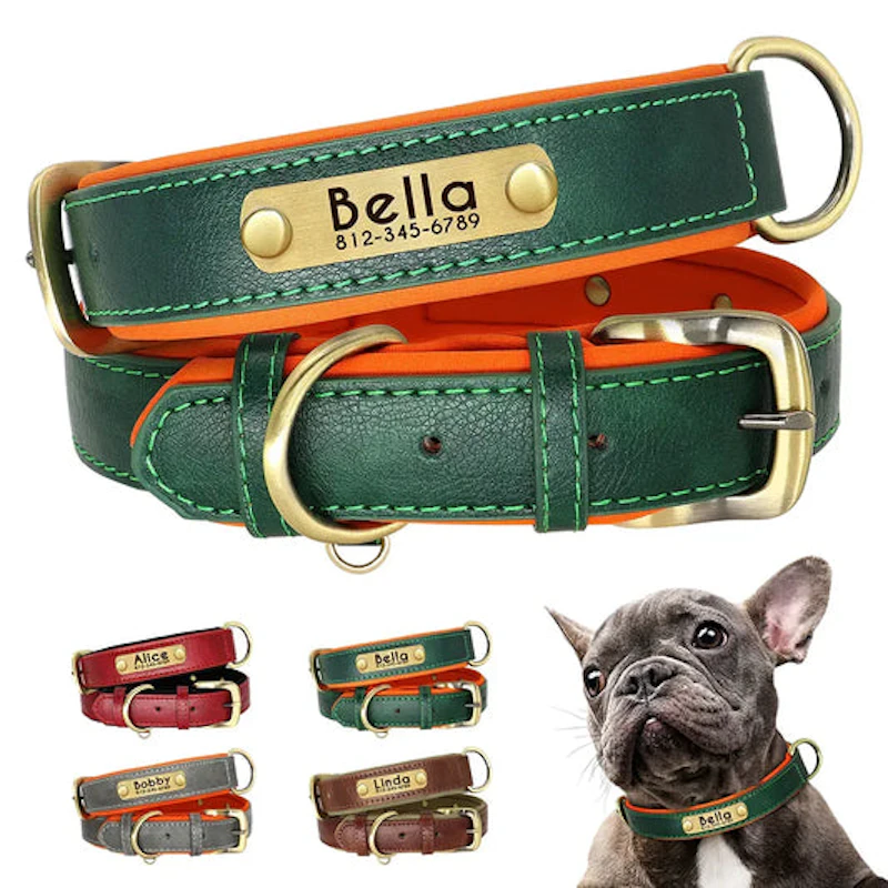 Accessoires pour chien 