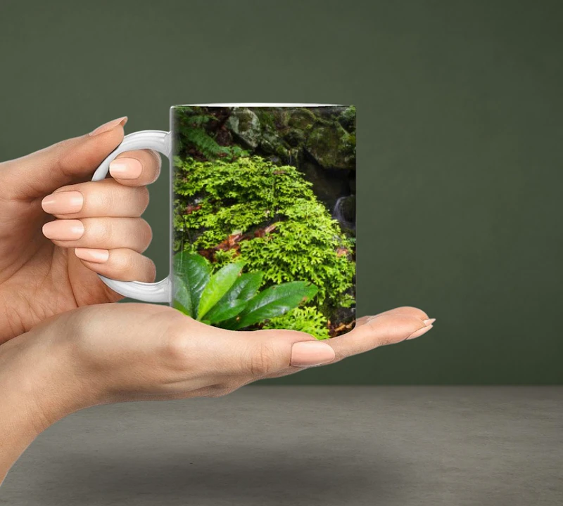 Madeira Tasse – Wasserfall & Lorbeerwald Motiv | Souvenir & Natur Geschenk für Wanderer Keramikbecher