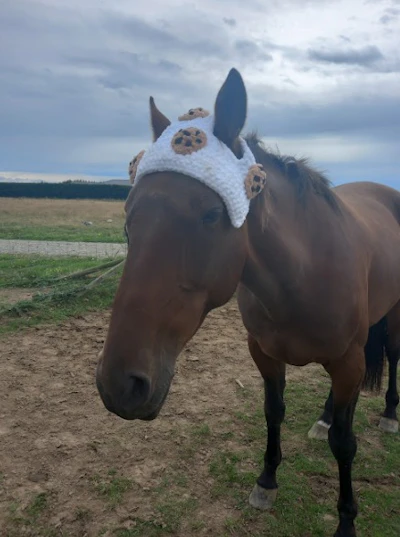 Crochet Horse Hats