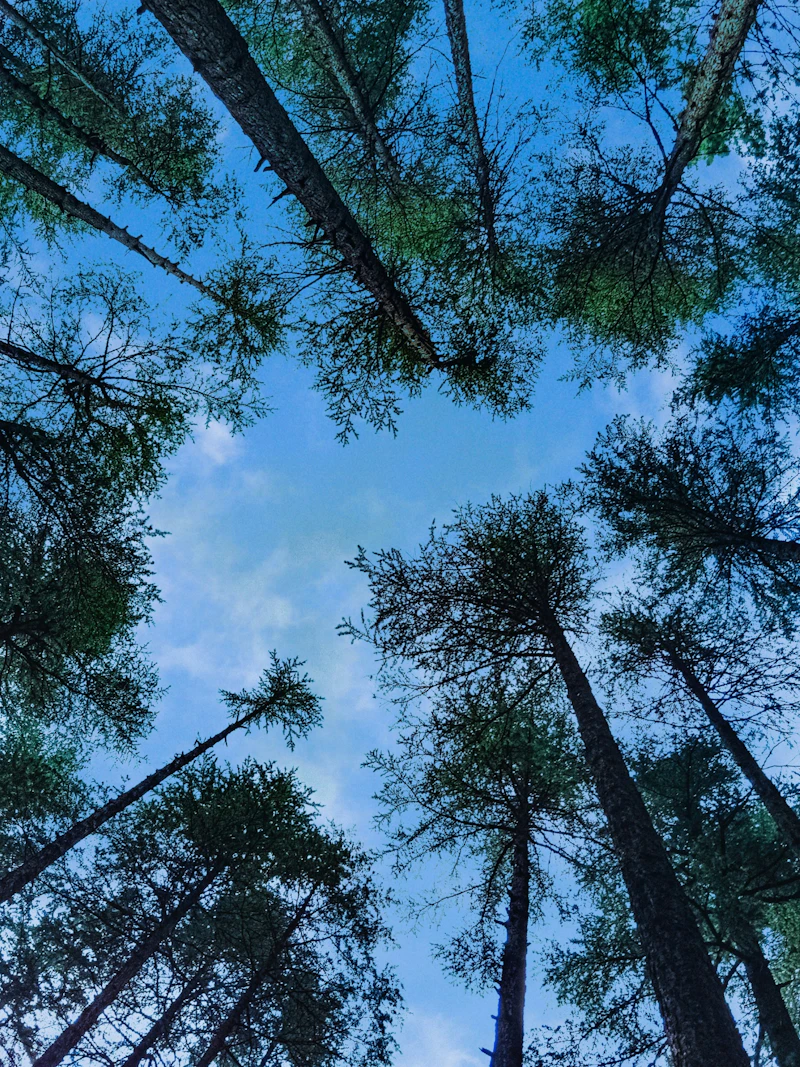 Building Self Confidence and Overcoming Self Doubt