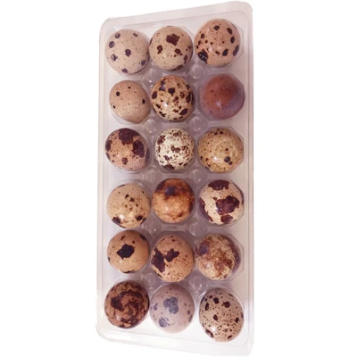 20 Pcs Quail Egg 