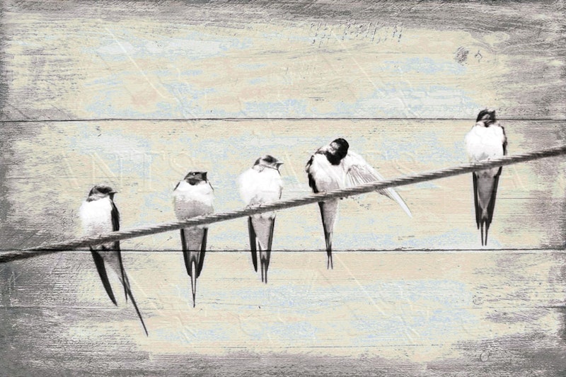 Schwalben - Wanddeko Vögel im Landhausstil, Shabby Chic kaufen