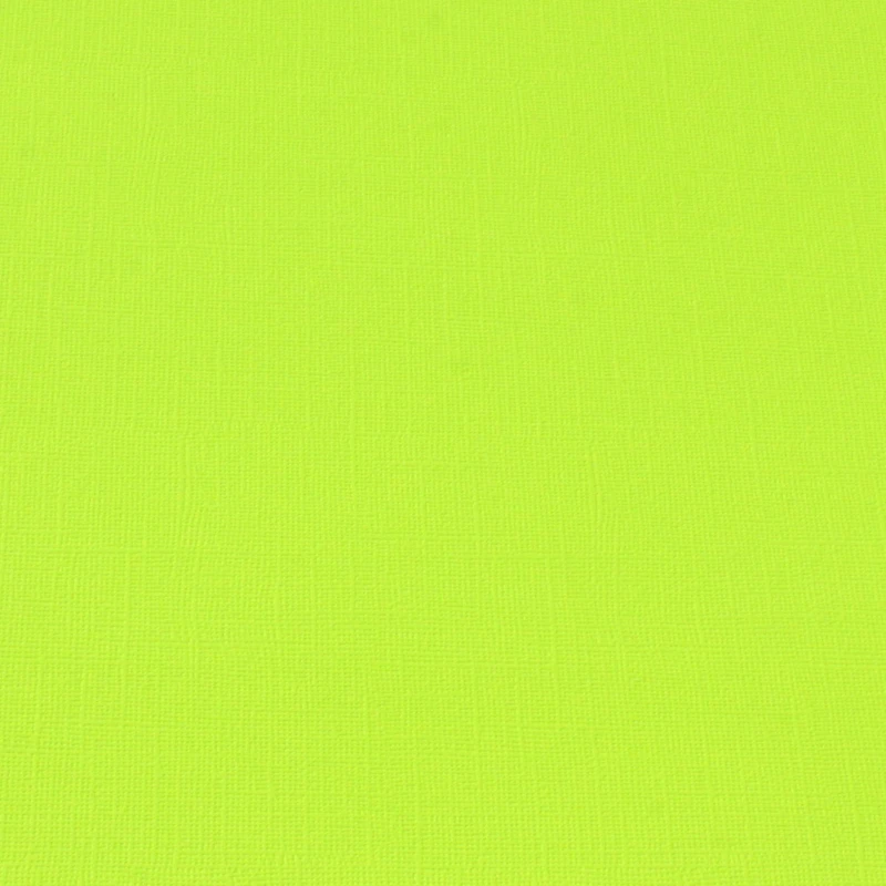 12x12" Core´dinations Cardstock "grassroots"