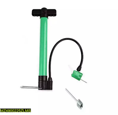 Portable air pump