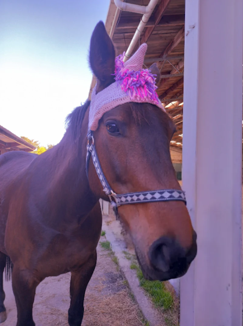 Crochet Horse Hats