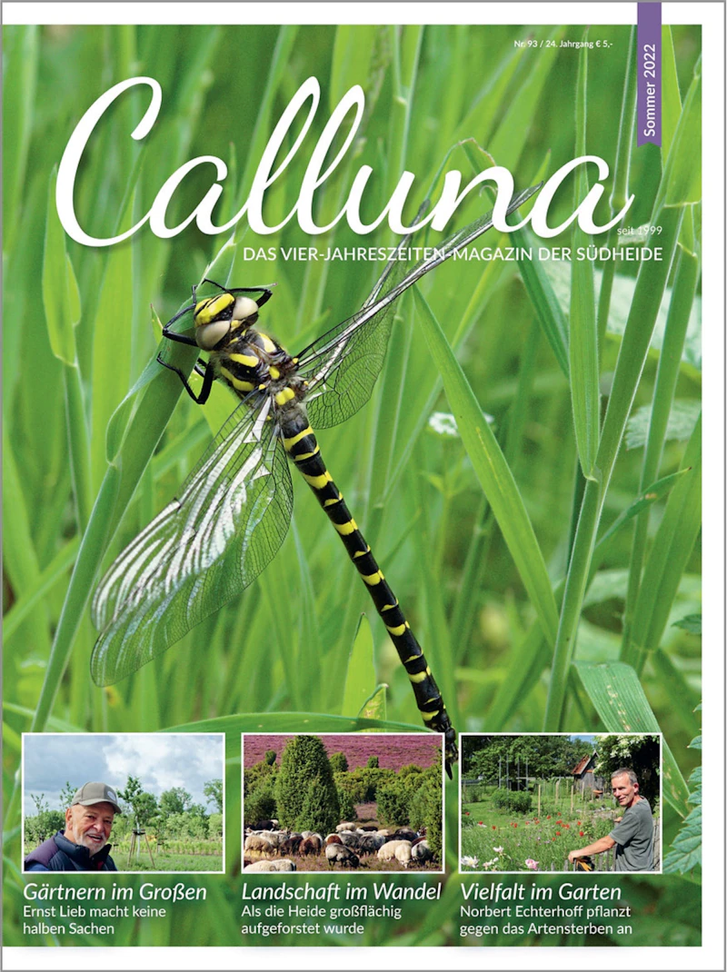 Calluna Sommer 2022 E-Paper