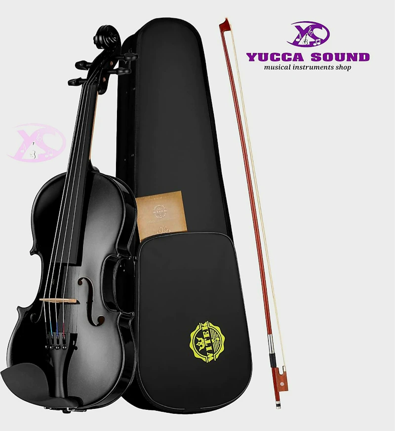 Black Violin 4/4 Include Case and Violin Bow. 
