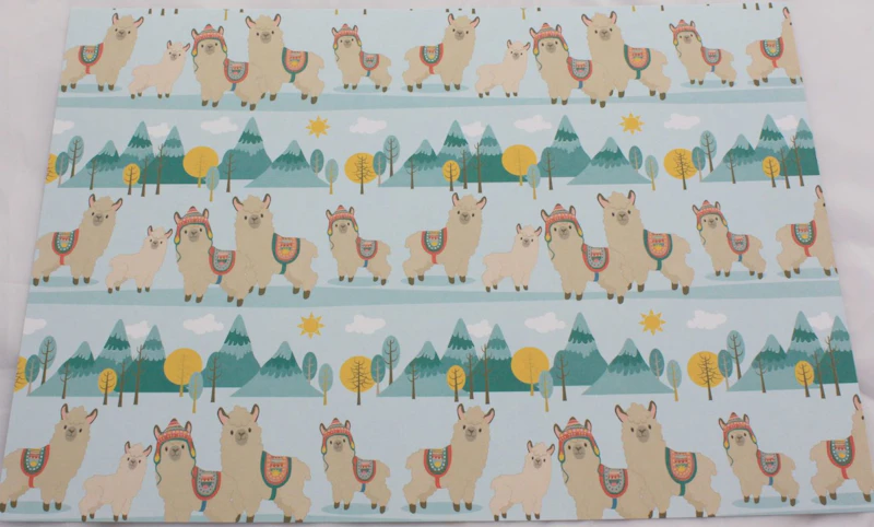 A4 Fotokarton "Lama
