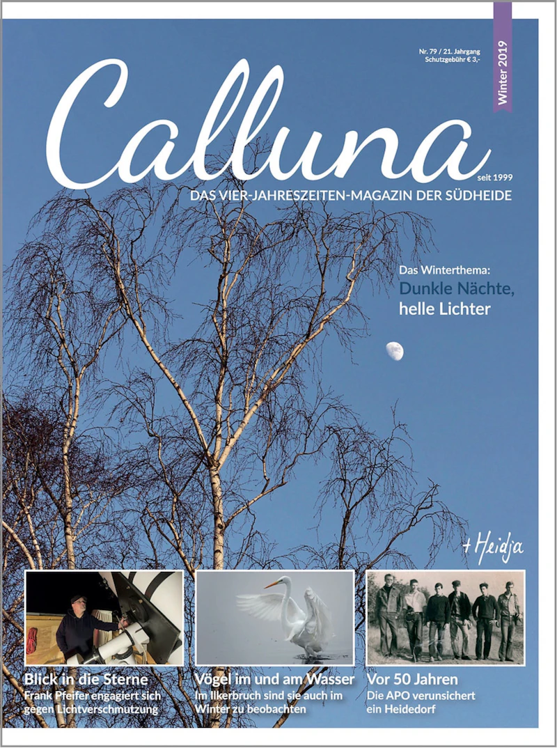 Calluna Winter 2019