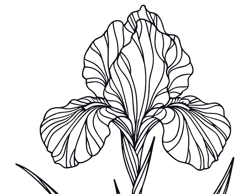 Das ultimativ abwechslungsreichste Malbuch ever für junge und ältere Künstler