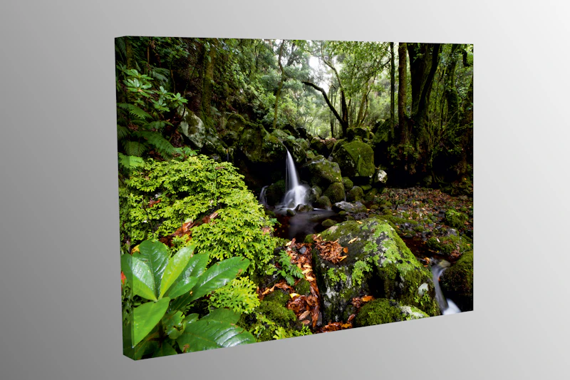 Wasserfall entlang der Lavada dos Cedros