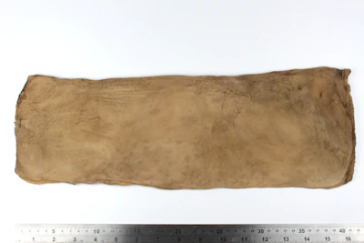 FUNGISKIN Big Size - 42cm Länge