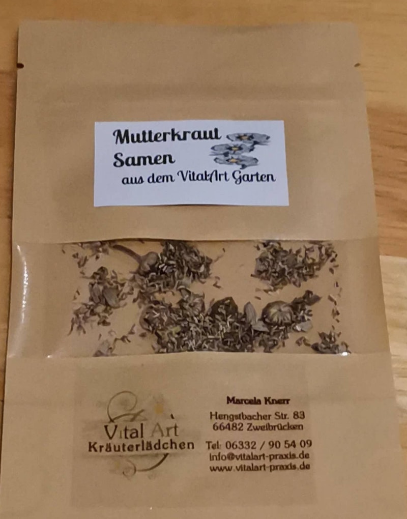 Mutterkraut (Chrisanthemum parthenium), samenfest