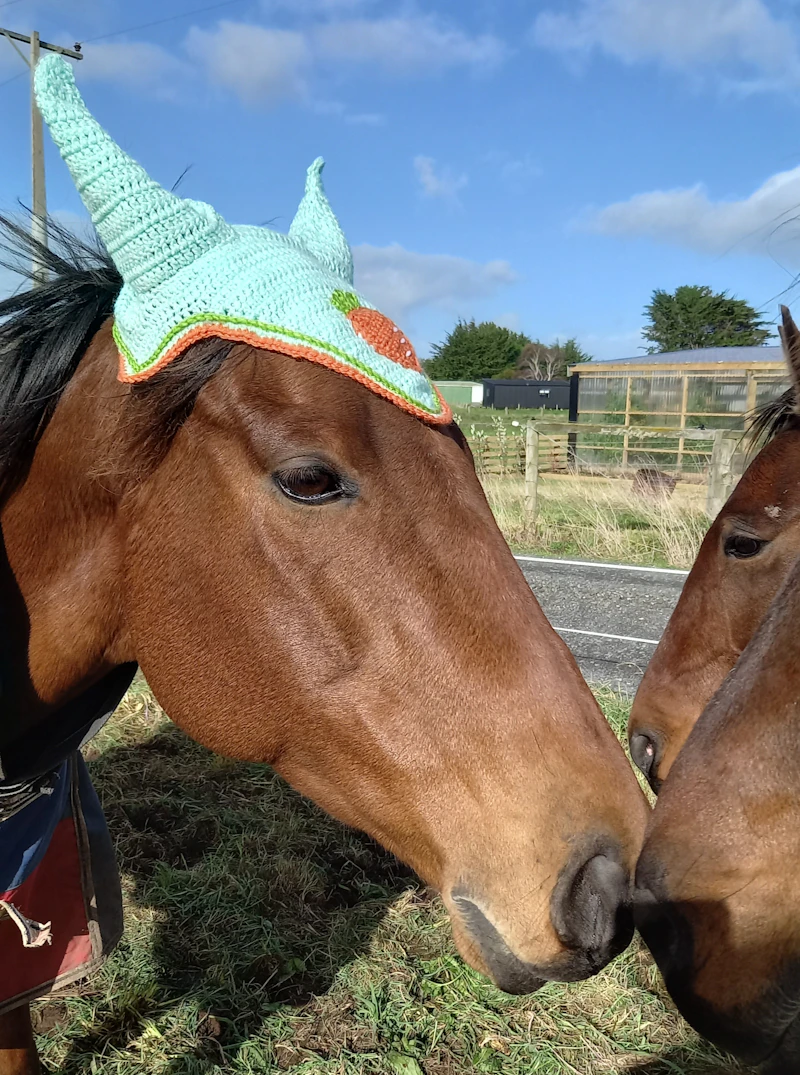 Crochet Horse Bonnets