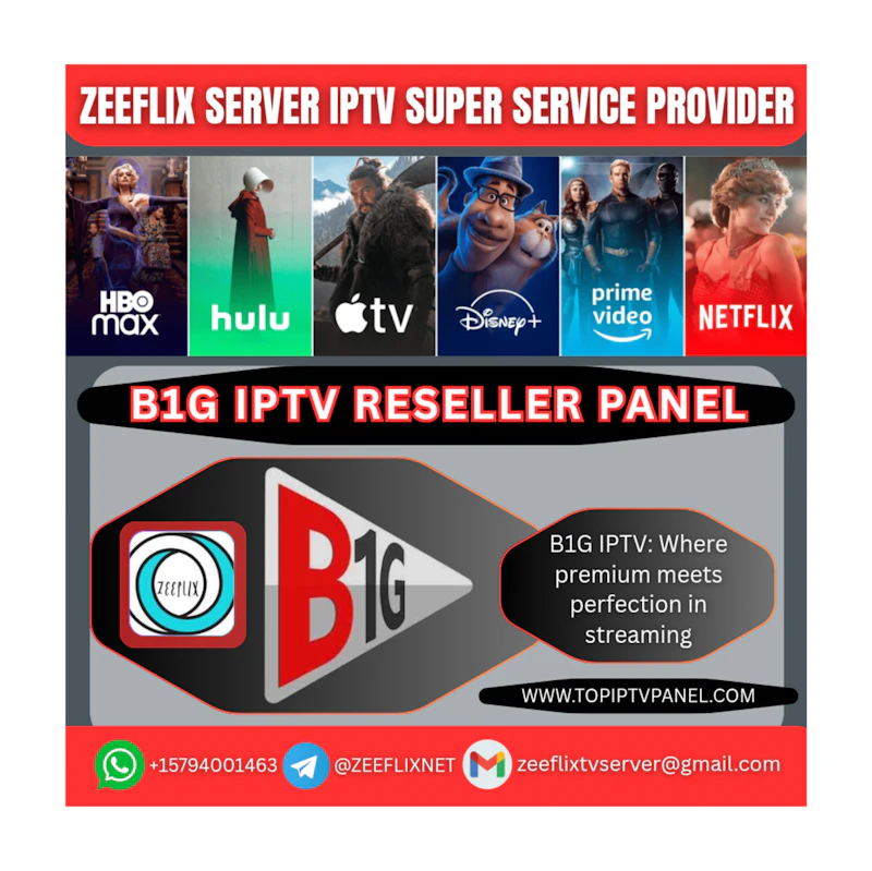 B1G IPTV SUBSCRIPTION 