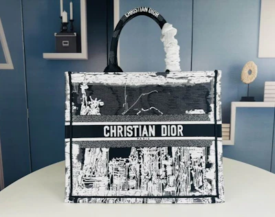 Dior Cabas Book Tote en toile 