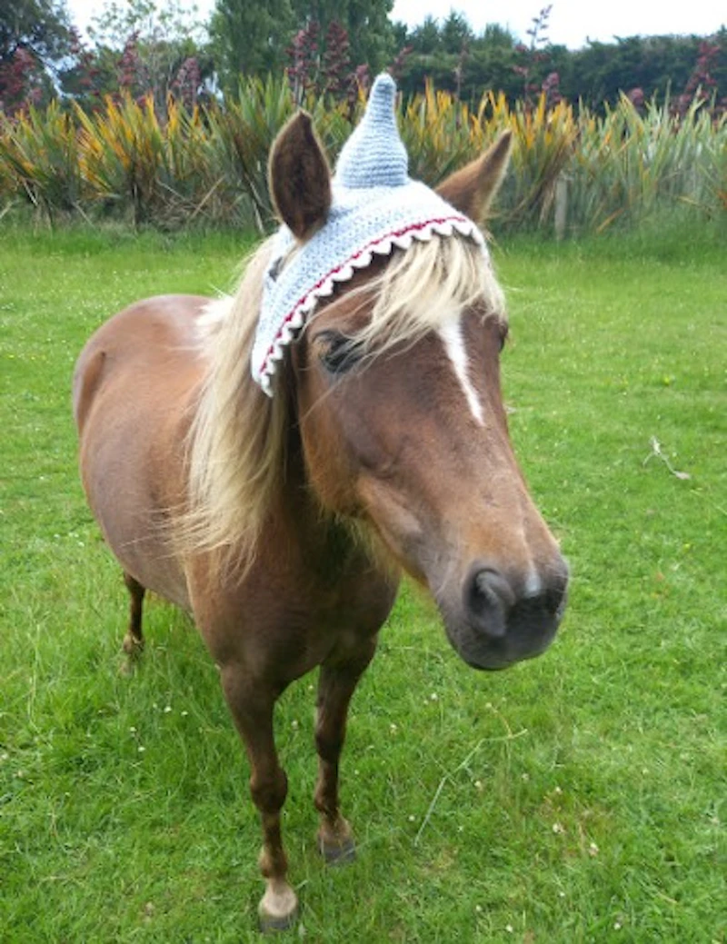 Crochet Horse Hats