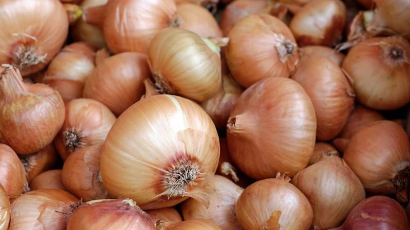 Oignons 