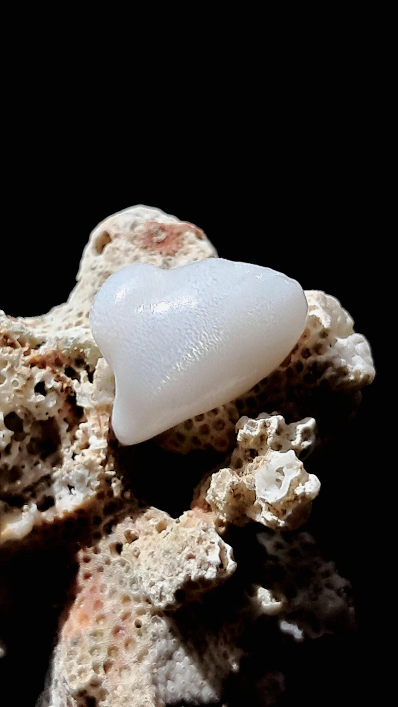 Natural 6.8 Carat Tridacna Clam Pearl