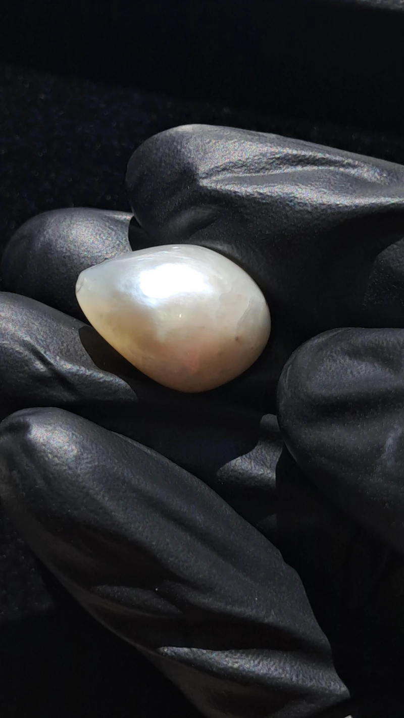 Ravishing GIA certified 25 carat Natural Maxima pearl