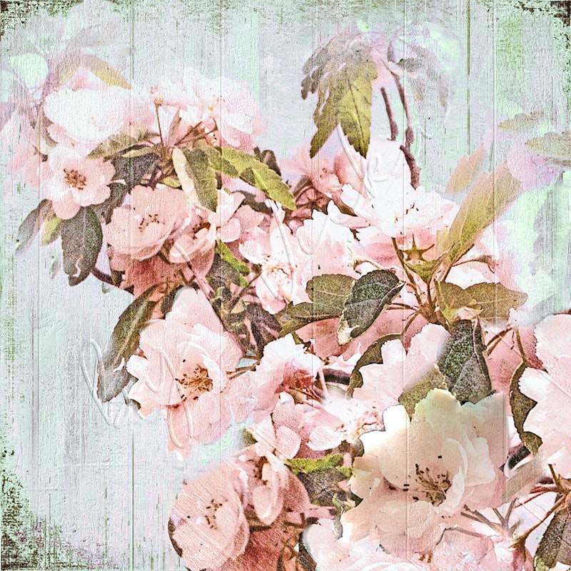 Kirschblüten Frühlingsblumen Wandbild Landhausstil Shabby Chic Vintage Style