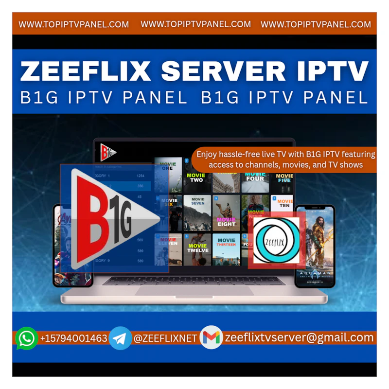 B1G IPTV PANEL 