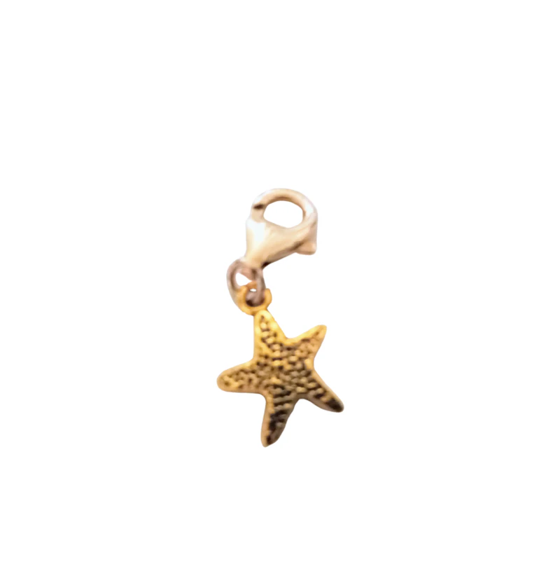 Charms goldfarben ab 1,- Euro