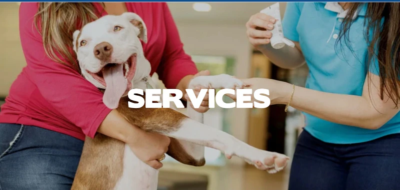 Animaux et Services Canines 